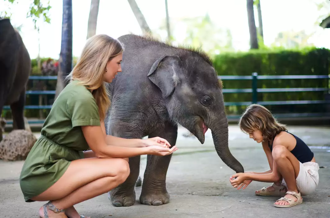 Jumbo Wash at Mason Adventure Elephant Sanctuary