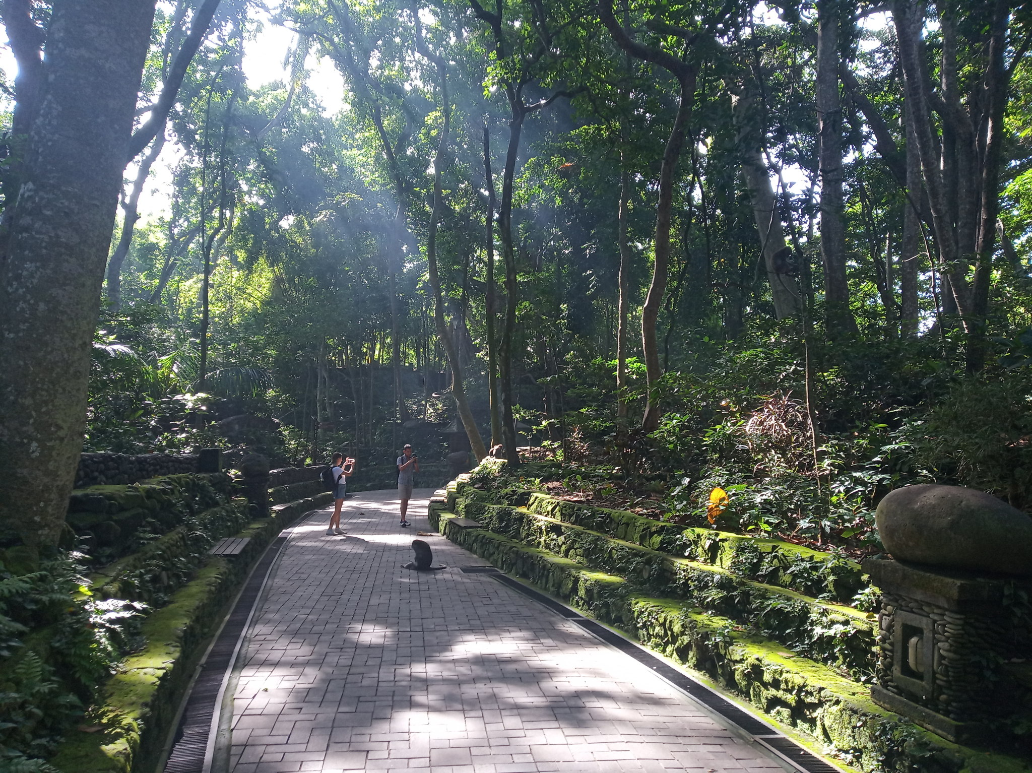 Ubud ATV, Monkey Forest, Rice Terrace & Swing Tour